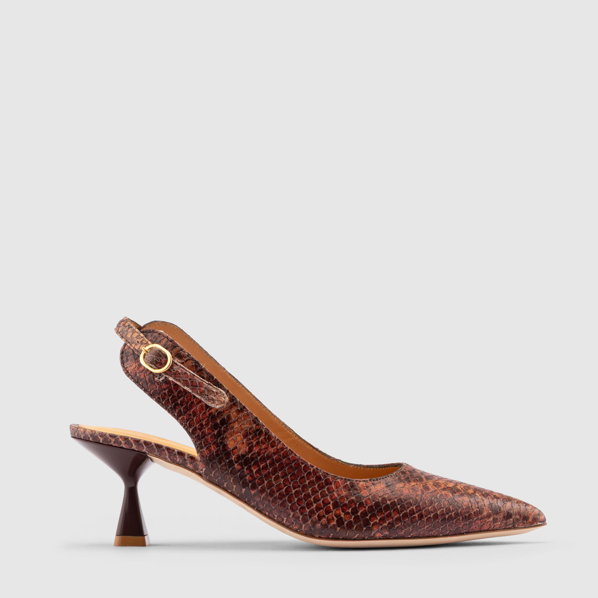 Mareta Brown Snake