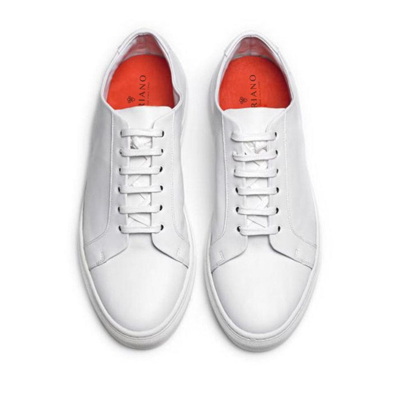 Santana (Special Sizes)