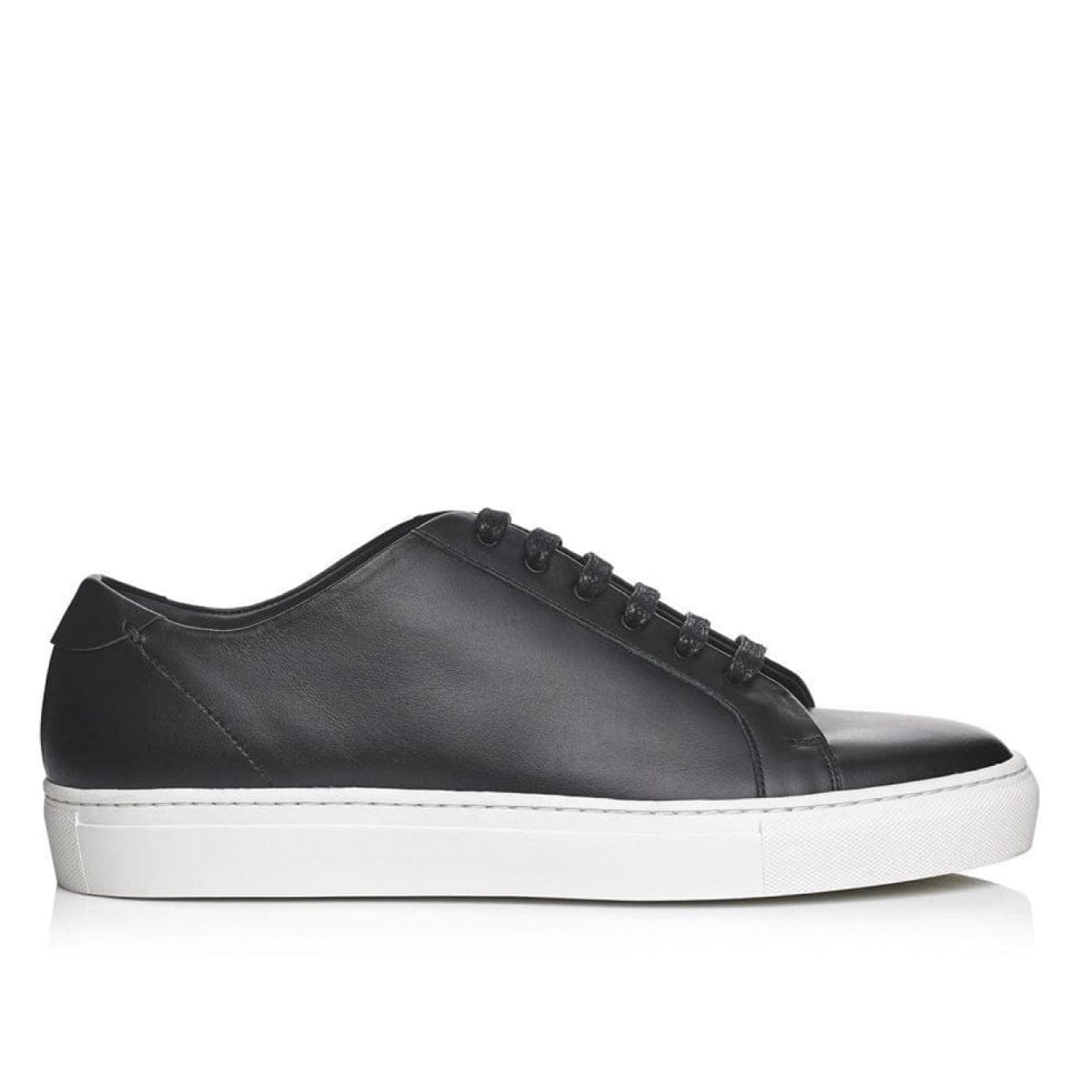 Santana (Special Sizes)
