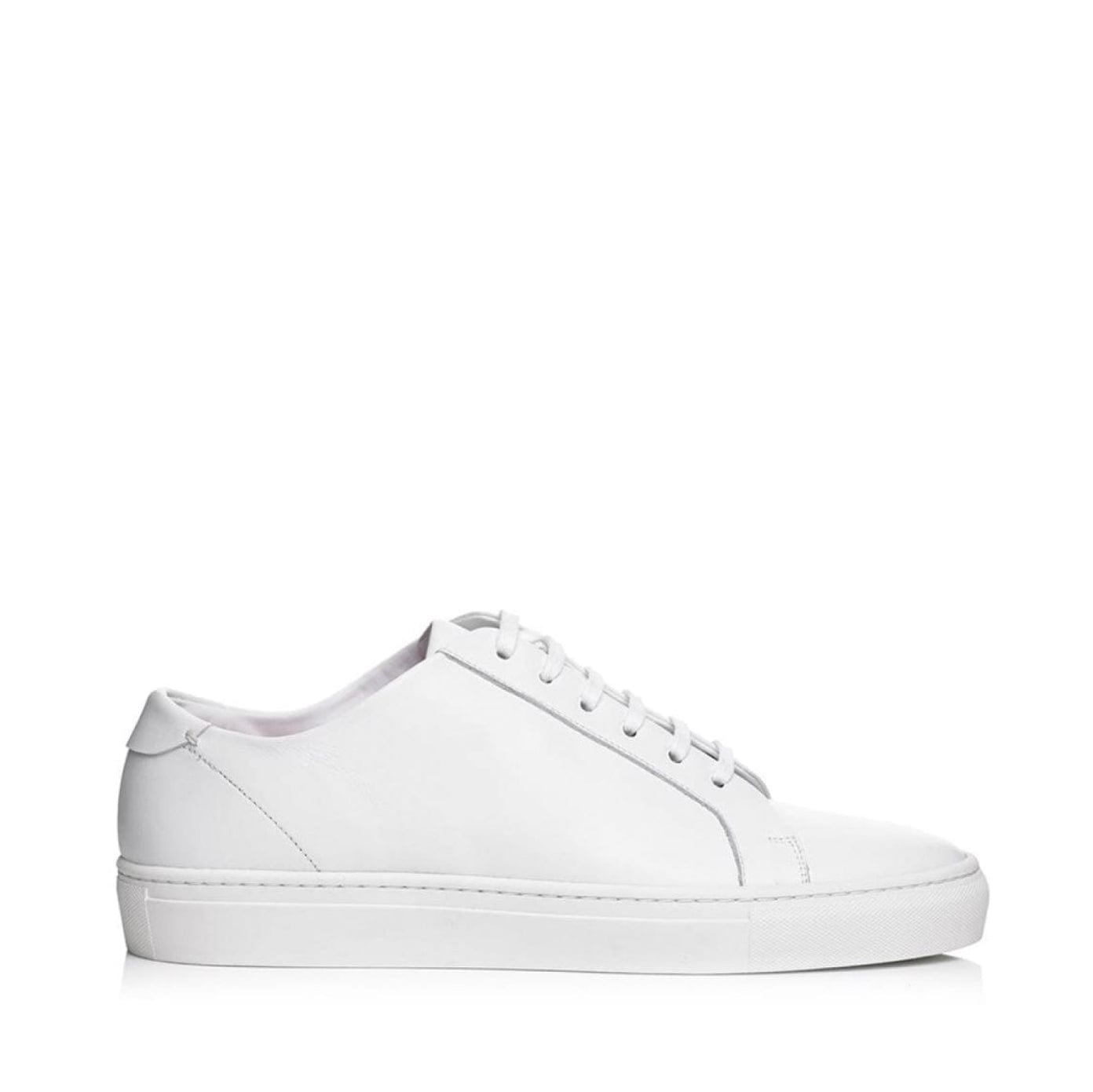 Santana (Special Sizes)