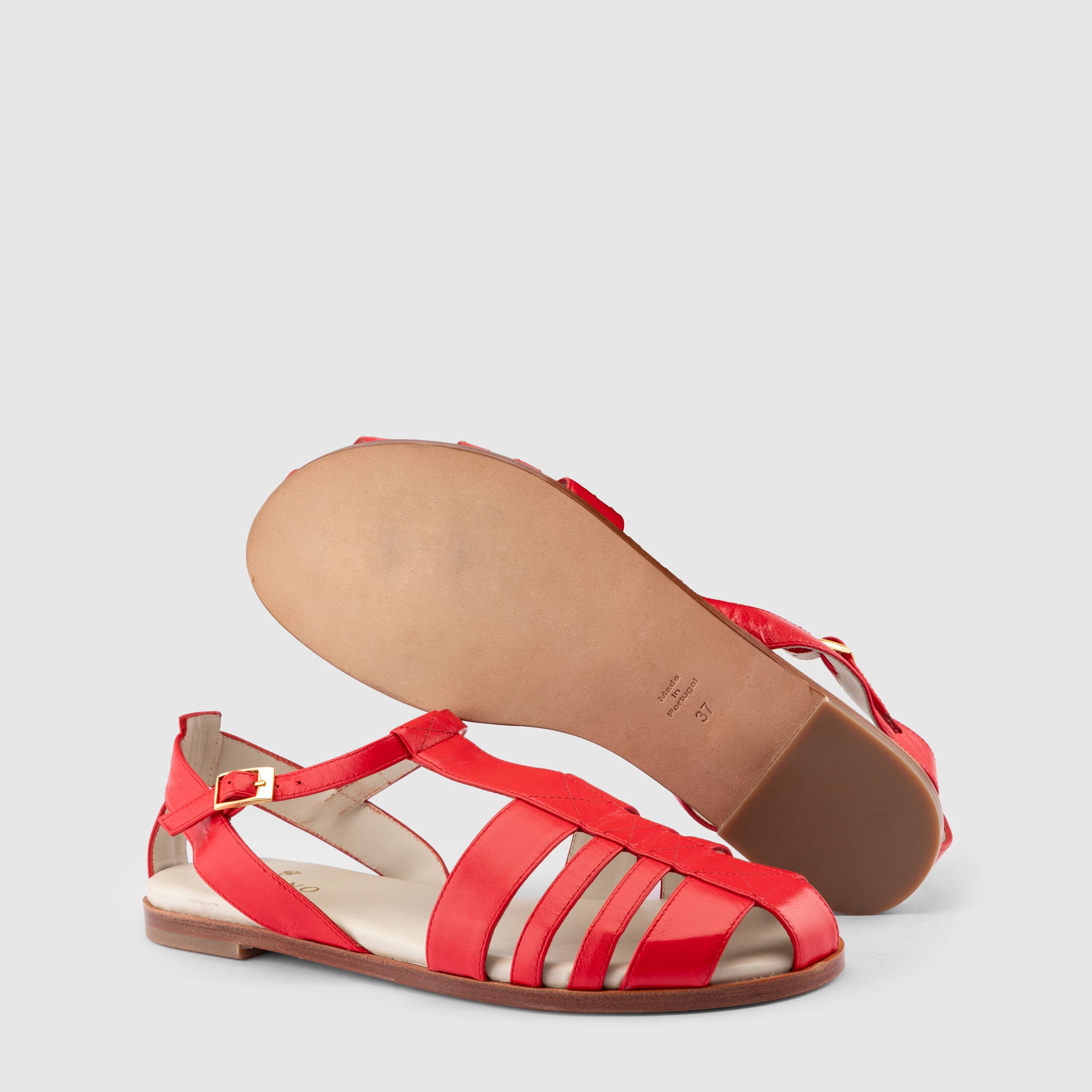 Olival Red