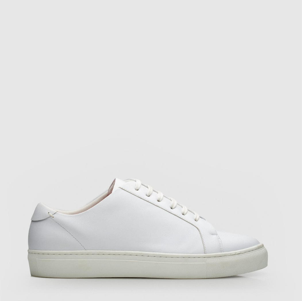 Santana (Special Sizes)