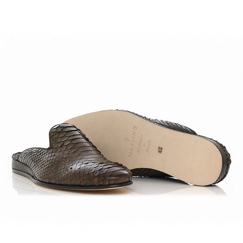 Phython Slipper
